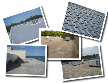 Rodgers Architects is experienced with inspecting all commercial roof types.